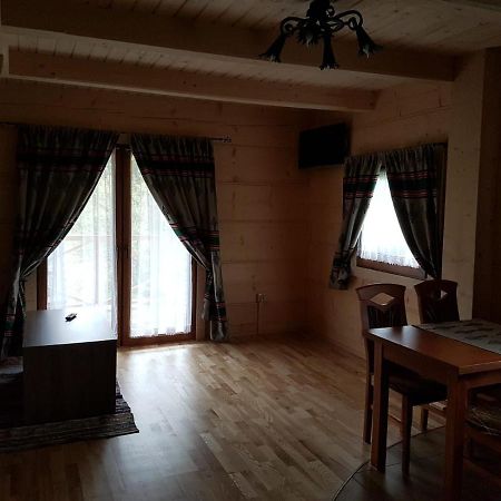 U Garczkow Villa Witów Kültér fotó